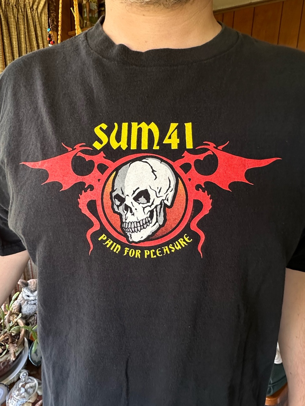 Vintage Sum 41 Pain For Pleasure Skull Band Tee